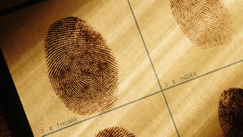crime fingerprint