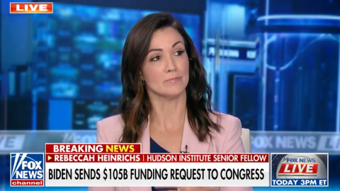 (Screenshot via Fox News)