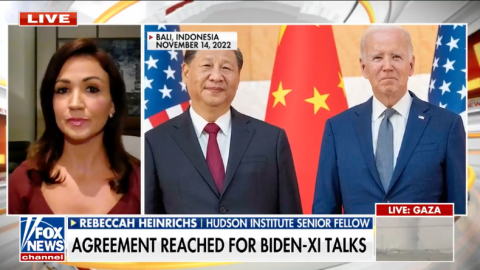 (Screenshot via Fox News)