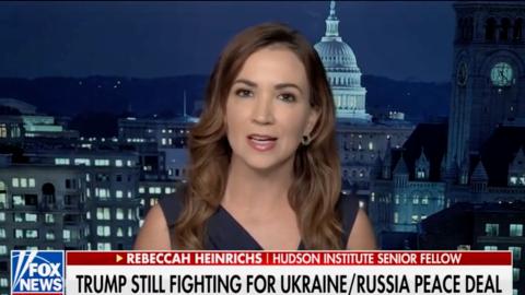 (Screenshot via Fox News)