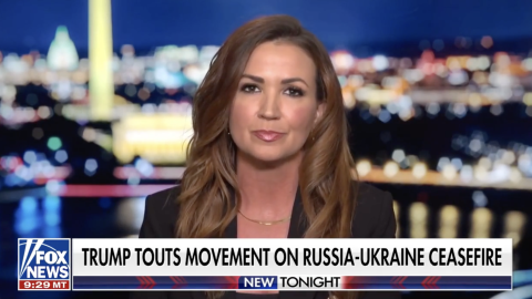 (Screenshot via Fox News)