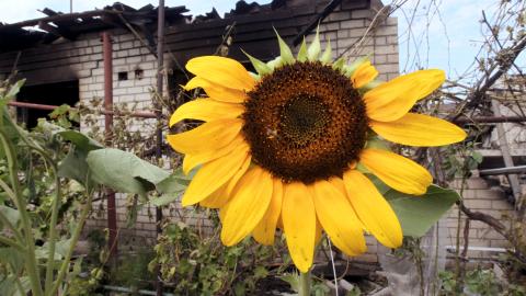 Ukraine Military Situation Report August 27 Hudson Institute