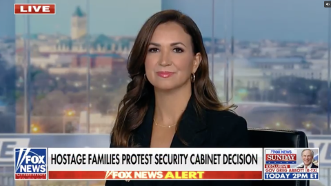 (Screenshot via Fox News)