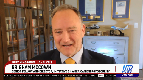 Brigham on NTD news march 2026