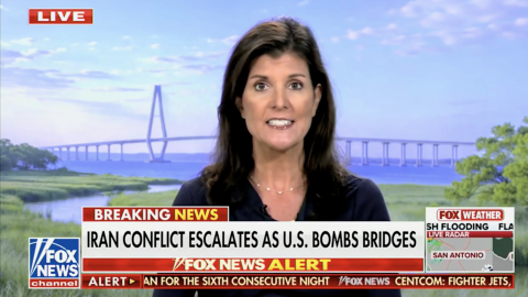 nikkei haley on fox news