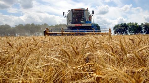 A combine harvester gathers crops in Farbovane, Ukraine, near Kyiv on July 9, 2026. (Getty Images)