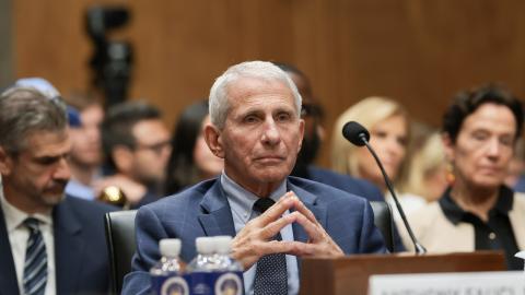 Former National Institutes of Health Director Anthony Fauci during a hearing with the Senate Homeland Security and Governmental Affairs Committee on July 29, 2026, in Washington, DC. (Getty Images)