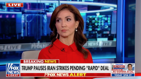 (Screenshot via Fox News)