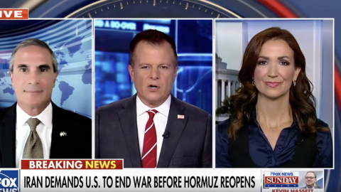 (Screenshot via Fox News)
