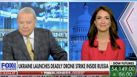(Screenshot via Fox Business)