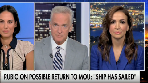 (Screenshot via Fox News)