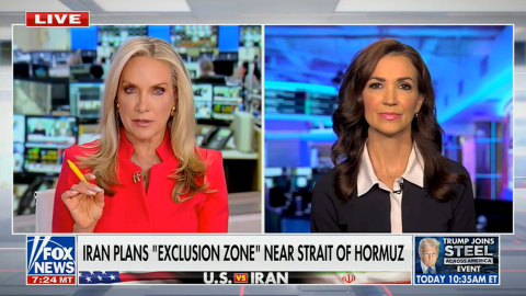 (Screenshot via Fox News)