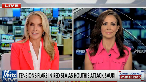 (Screenshot via Fox News)