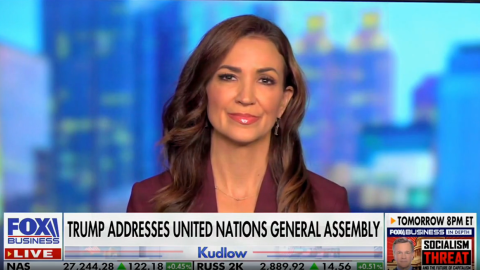 (Screenshot via Fox Business)