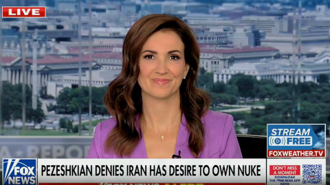 (Screenshot via Fox News)