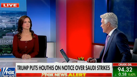(Screenshot via Fox News)