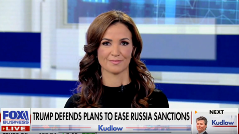(Screenshot via Fox Business)