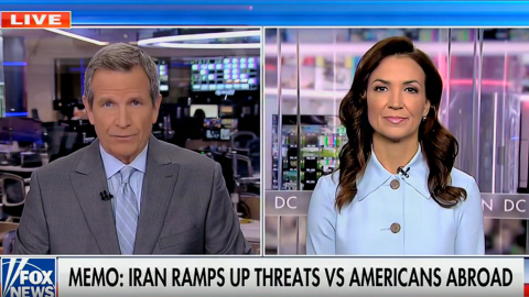 (Screenshot via Fox News)