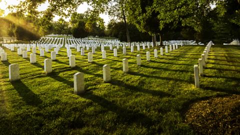 Arlington Cemetery