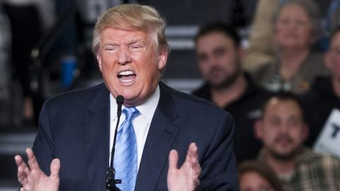 Republican presidential candidate Donald Trump addresses supporters during a campaign rally at the Greater Columbus Convention Center on November 23, 2015 in Columbus, Ohio. (Ty Wright/Getty Images)