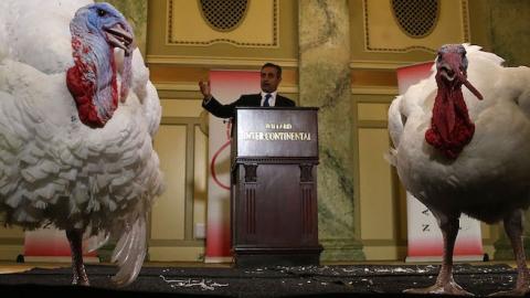 Jihad Douglas, chairman of the National Turkey Federation introduces two turkeys during a media availability at the Willard Inter Continental Hotel ahead of their 'pardon' by US President Barack Obama at the White House November 24, 2015 in Washington, DC