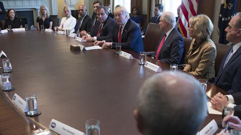 President Trump speaks at a panel discussion on opioid and drug abuse, March 29, 2017 (Shawn Thew-Pool/Getty Images