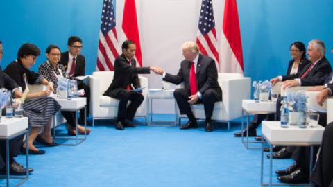 President Donald J. Trump and President Joko Widodo (Official White House Photo/Shealah Craighead)