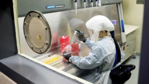 A laboratory scientist cultures coronavirus for testing in Frederick, Md., March 19.