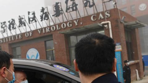 Members of the World Health Organization (WHO) team investigating the origins of the COVID-19 coronavirus arrive by car at the Wuhan Institute of Virology in Wuhan on February 3, 2021. (Photo by HECTOR RETAMAL/AFP via Getty Images)