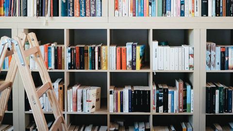 Books line the shelves of a public library. (Romans Drics / EyeEm via Getty Images)