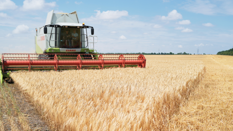 Agricultural workers harvest a wheat field on June 26, 2022, outside of Odesa, Ukraine. (Photo by Pierre Crom/Getty Images)