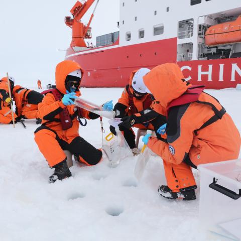 Members of China's 16th Arctic Ocean scientific expedition team work on the ice surface of the Arctic Ocean on Aug. 9, 2026. (Getty Images)