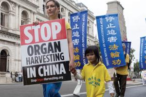 Falun Gong protestor holding a placard that says 'stop organ harvesting in China,' during a demonstration in London, United Kingdom on August 28, 2021. (Getty Images)