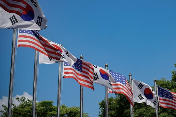 Flags ROK and USA