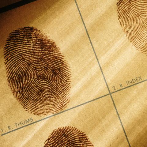 crime fingerprint