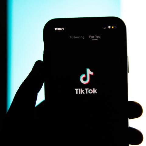 TikTok Twitter Herman