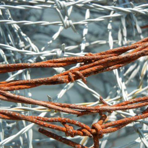 Spiked fence