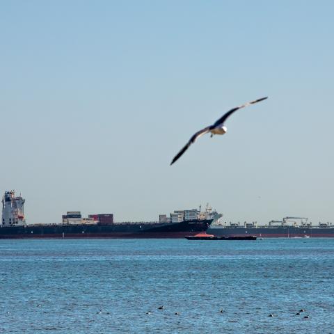 An oil tanker and a cargo ship are seen anchored off the coast of Long Beach, California, on April 24, 2020. - According to a news release issued by the United States Coast Guard, there were 27 tankers off the Southern California coast as of April 23 afternoon. Companies are using the tankers to store excess supplies of crude oil due to lack of demand during the novel coronavirus pandemic, US media reported. (Photo by Apu GOMES / AFP) (Photo by APU GOMES/AFP via Getty Images)