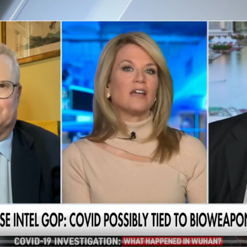 David Asher on Fox News
