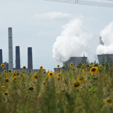 A coal power plant in Grevenbroich, Germany, on August 2, 2022. (Ying Tang/NurPhoto via Getty Images)