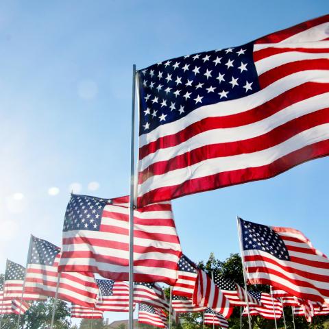 flag Hunt.jpg