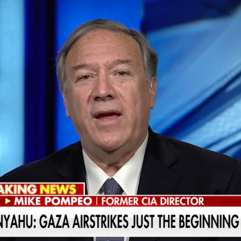 (Screenshot via Fox News)