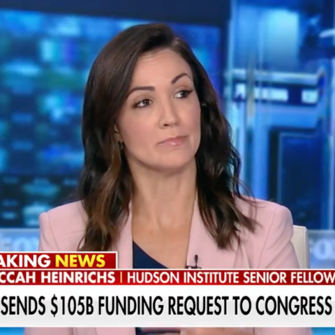 (Screenshot via Fox News) 