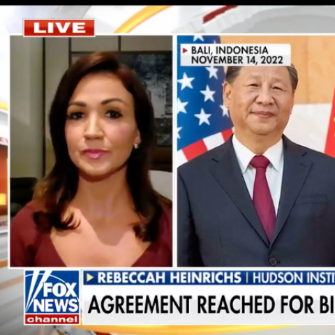 (Screenshot via Fox News) 