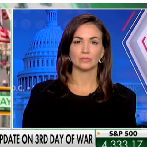 (Screenshot via Fox News)