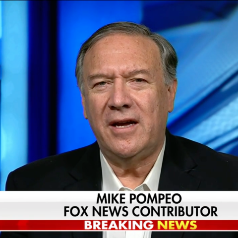 (Screenshot via Fox News) 