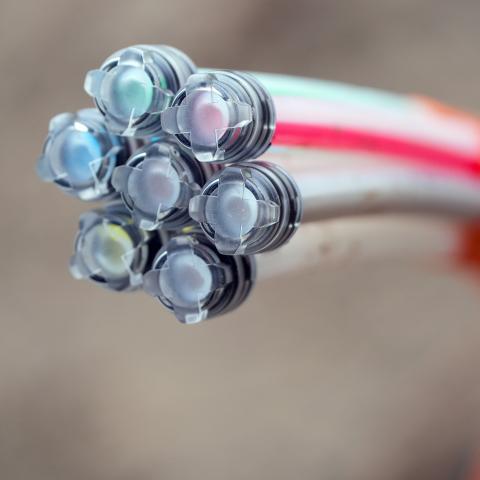 The High Cost of Cheap Broadband