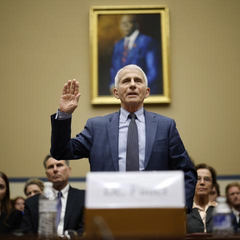 Dr. Anthony Fauci is sworn-in before testifying on June 03, 2024, in Washington, DC. (Chip Somodevilla/Getty Images)