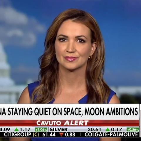 (Screenshot via Fox News)