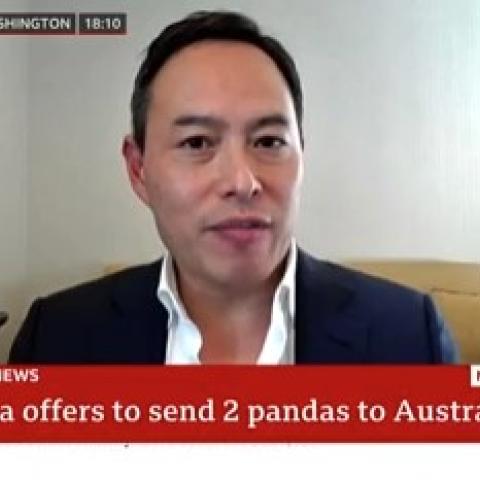 (Screenshot from BBC News)